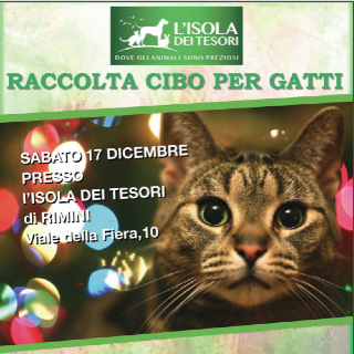Natale per gli amici felini