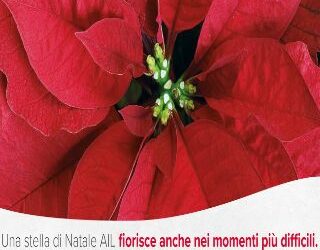 Buonastella AIL
