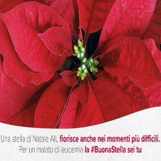 Buonastella AIL