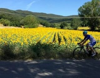 A piedi o in bicicletta…