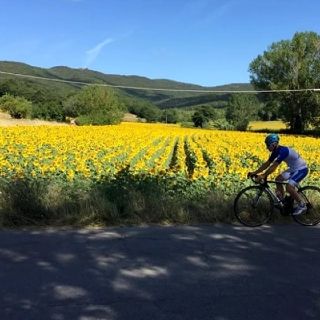 A piedi o in bicicletta…