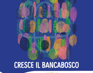BancaBosco
