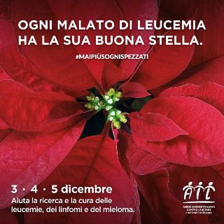 BuonaStella Ail