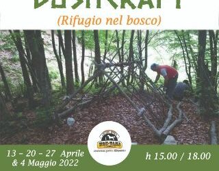 Bushcraft – rifugio nel bosco