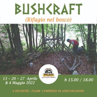 Bushcraft – rifugio nel bosco