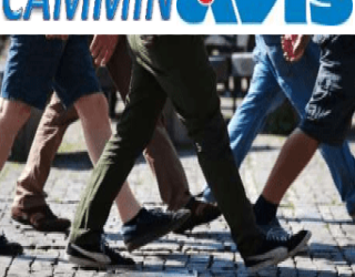CamminAvis
