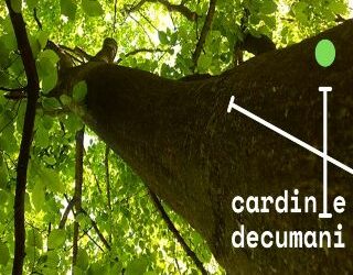Cardini e decumani