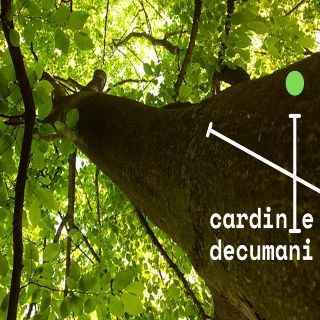 Cardini e decumani