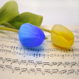 Concerto per la pace