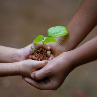 Contributo a fondo perduto Sostegni bis