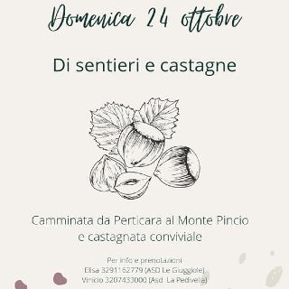 Di sentieri e castagne