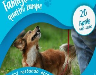 Famiglia a 4 zampe