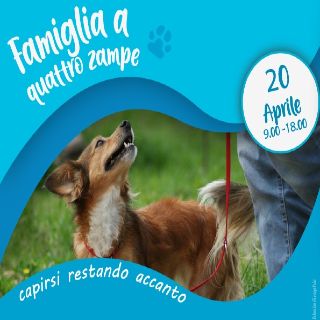 Famiglia a 4 zampe