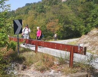 Al parco delle foreste Casentinesi con il Wwf
