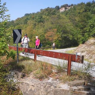 Al parco delle foreste Casentinesi con il Wwf