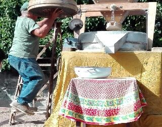 Festa sull’Aia