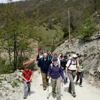 XVI Camminata per la pace
