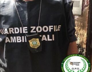 Corso per Guardie Zoofile