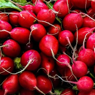 I Custodi del Cibo