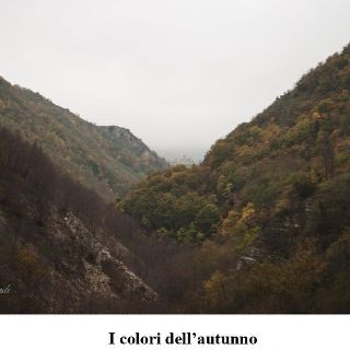 I colori dell’autunno