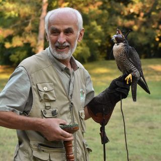 I rapaci e la falconeria