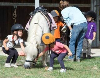 Il pony club della scuderia Cento Fiori