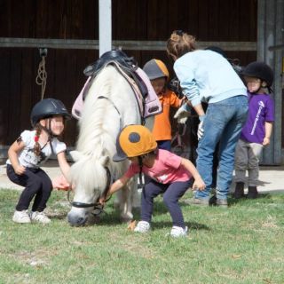 Il pony club della scuderia Cento Fiori