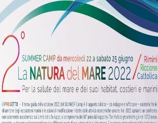 La natura del mare 2022