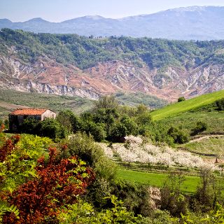 Escursione a Montecodruzzo