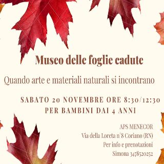 Museo delle foglie cadute