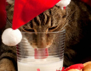 Natale per tutti