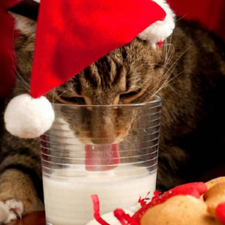 Natale per tutti