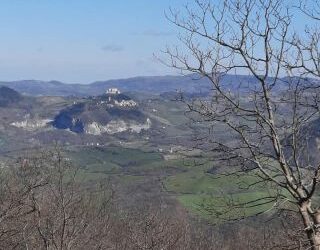 Nella patria del formaggio di fossa