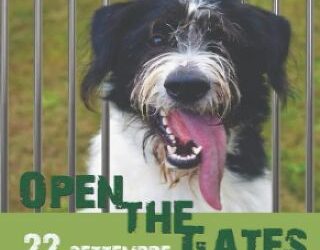 Open the Gates 2019