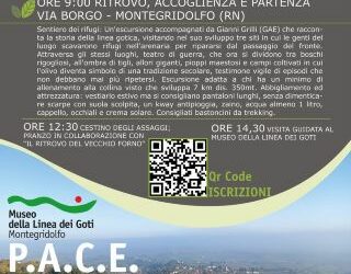 Giornate P.a.c.e.