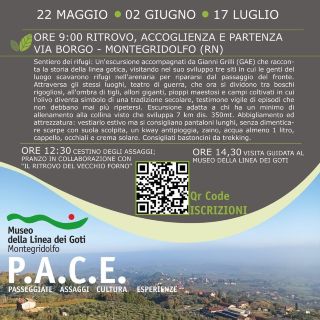 Giornate P.a.c.e.
