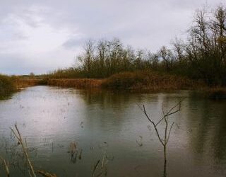 Tra lagune salmastre e foreste sull’acqua