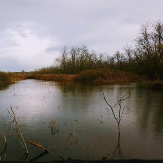 Tra lagune salmastre e foreste sull’acqua