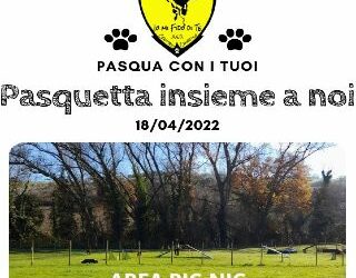 Pasquetta con Io Mi Fido di Te