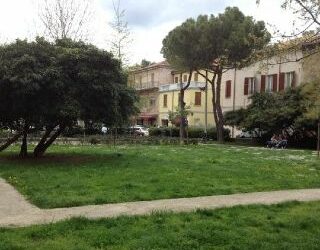 “Pasticci di lana”