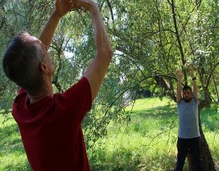 Poesia della natura