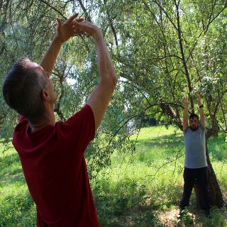 Poesia della natura
