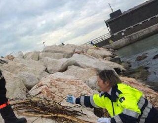 In mare con Rimini Rescue