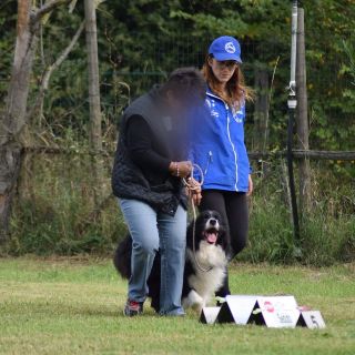 Attività di Rally obedience al Millepiedi