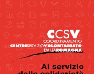 Report 2015 Csv Emilia-Romagna