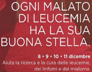 Stelle di Natale Ail
