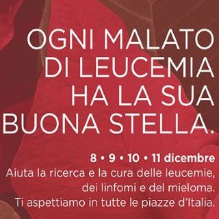 Stelle di Natale Ail