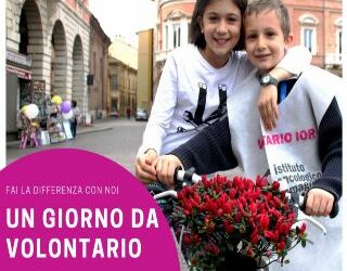 Un giorno da volontario con lo Ior