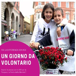 Un giorno da volontario con lo Ior