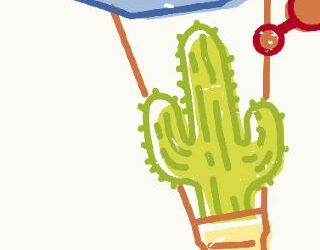 E tu che cactus sei?